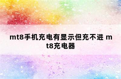 mt8手机充电有显示但充不进 mt8充电器